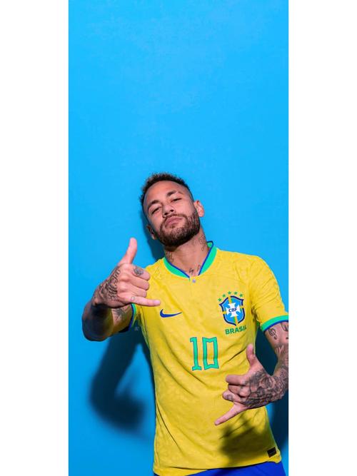 齐沃：作为意甲球队，国米两进欧冠决赛无论如何都配得上称赞（齐沃：作为意甲队，国米两度挺进欧冠决赛理应获赞）